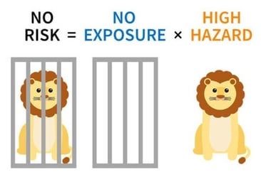 Lion caged, no risk