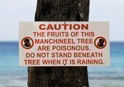 Manchineel tree warning sign