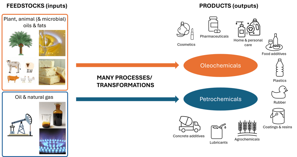 Oleochemicals and petrochemicals as feedstocks