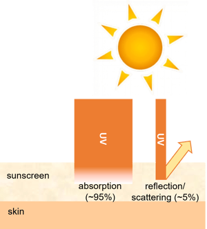 Sunscreen how it absorbs UV